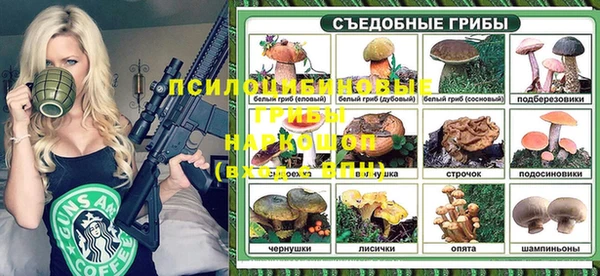 винт Абаза