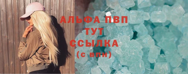 прущие грибы Абдулино
