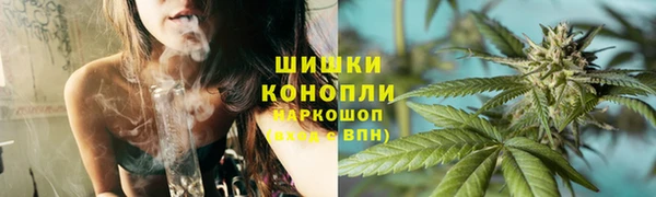 прущие грибы Абдулино