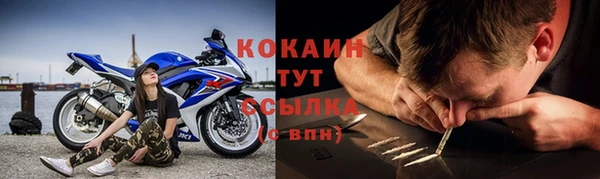 прущие грибы Абдулино