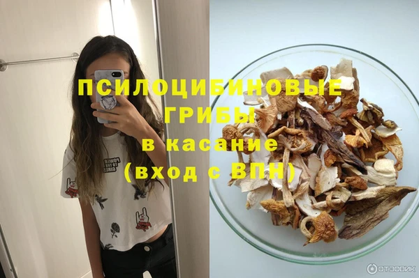 прущие грибы Абдулино