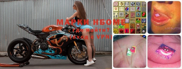 прущие грибы Абдулино